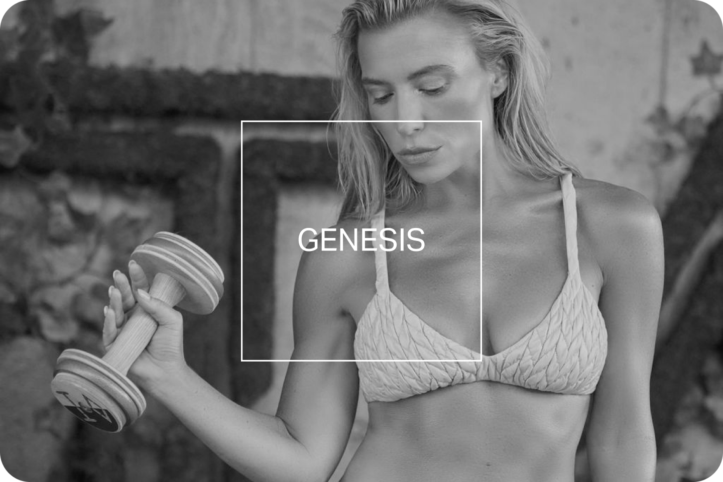 Genesis